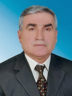 Mehmet DENİZ